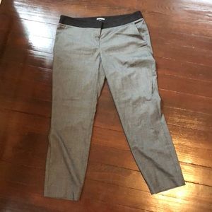 Express columnist dress pants